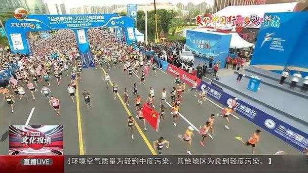 森纳球迷再